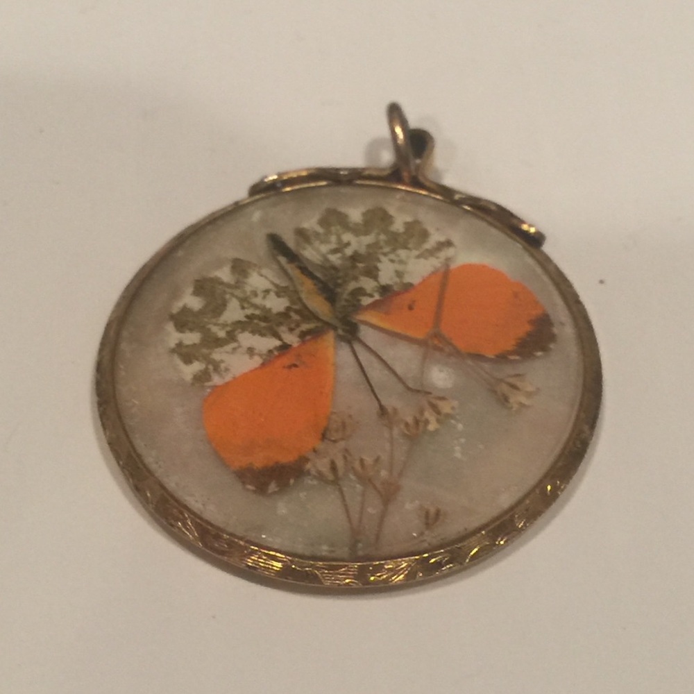 Vintage 14 kt butterfly encased in glass